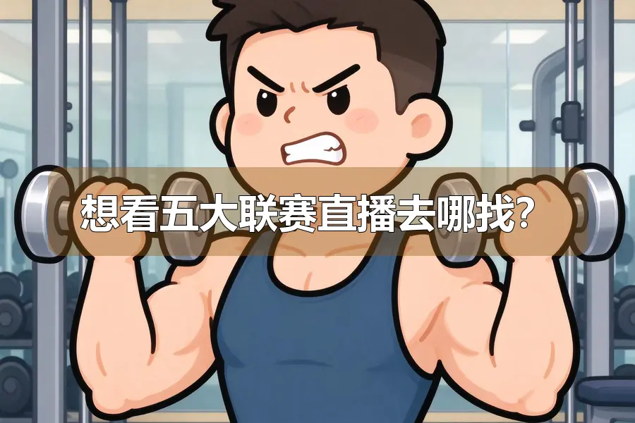想看五大联赛直播去哪找?